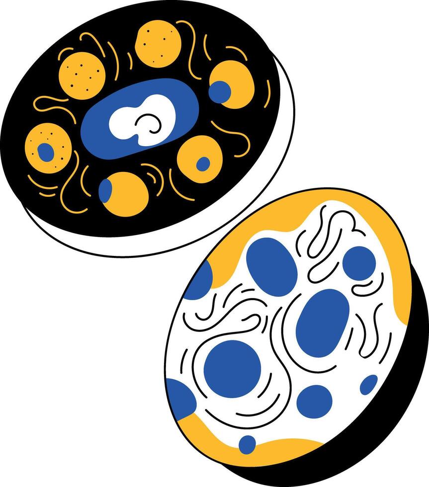 A drawing style illustration showing human cells vector