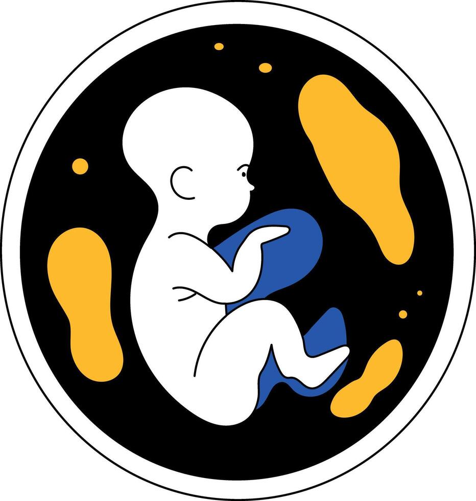 A doodle style illustration showing embryo in developmental stage vector