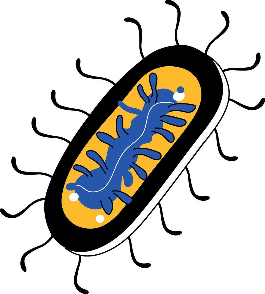 A sketchy illustration showing spirilla bacteria vector