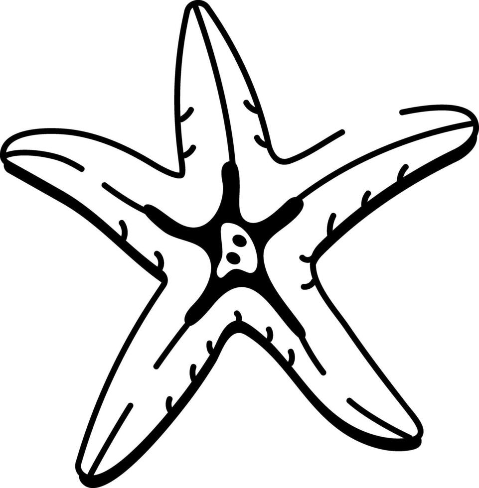 A doodle style icon of sea star vector