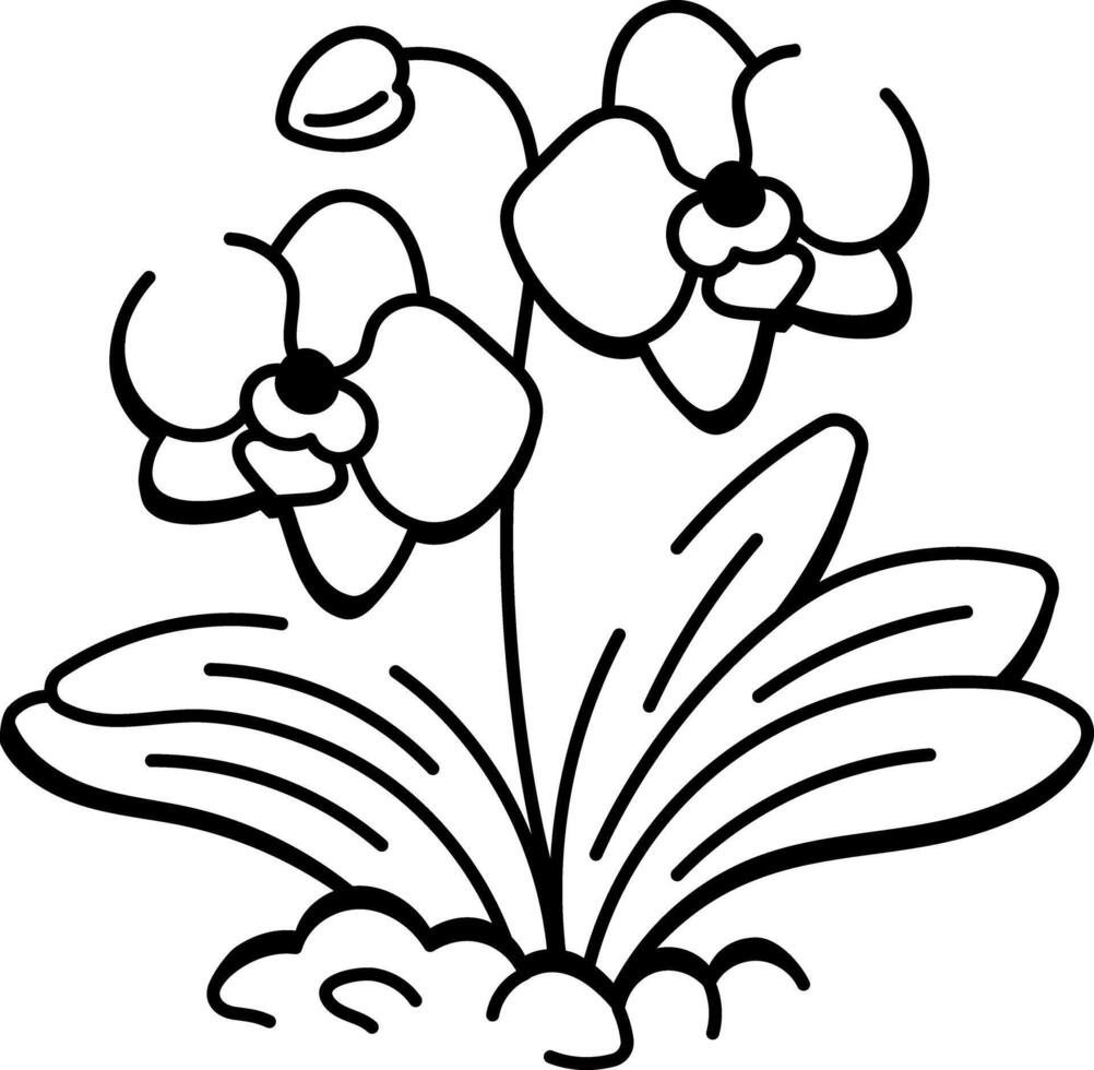 A drawing style icon of orchid flowers vector
