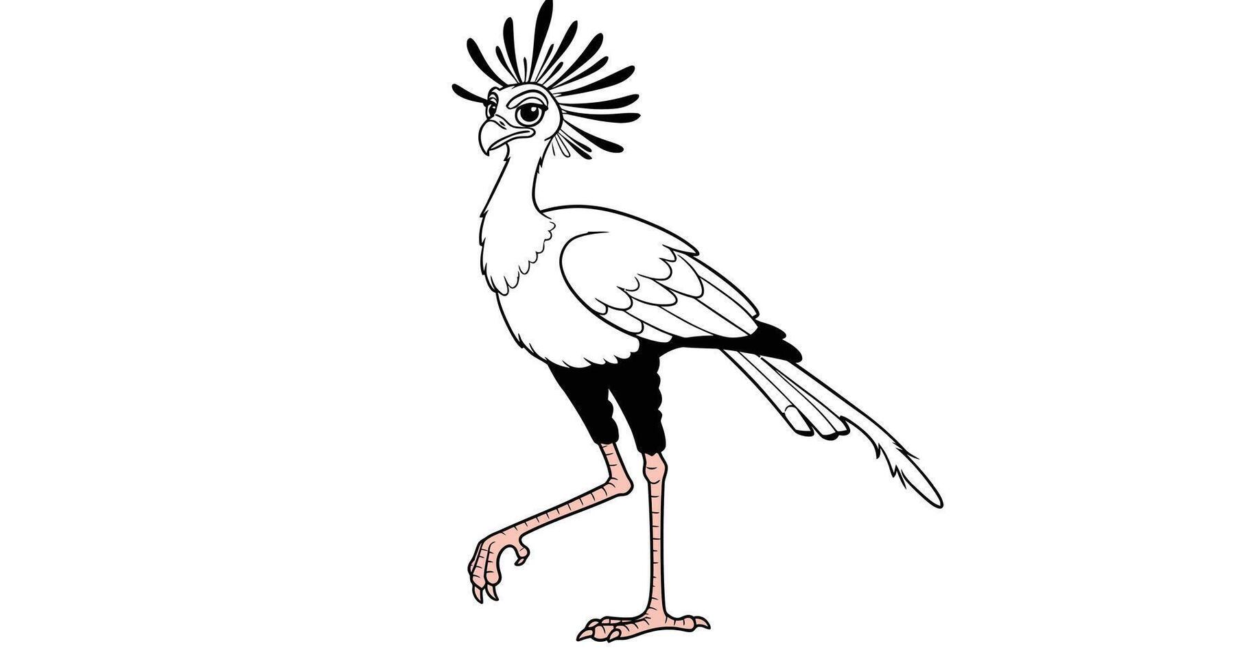 Proud cartoon secretary bird outline for kids fun coloring page activity illustration vector