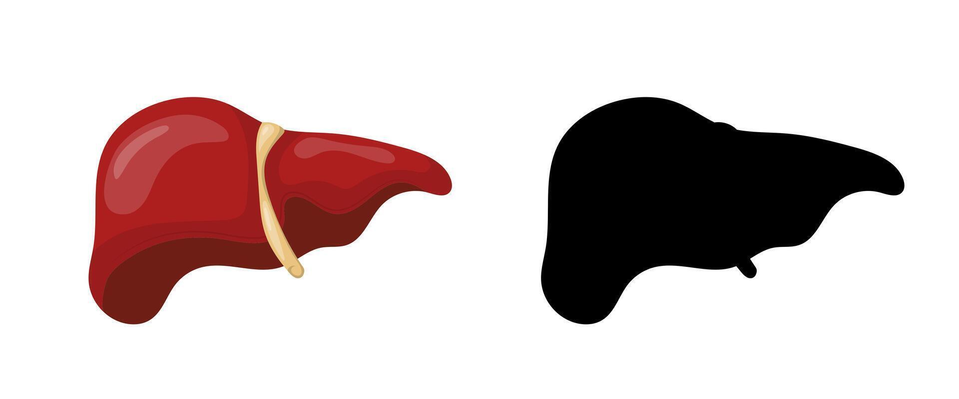 Human liver with realistic color and black silhouette isolated on white background vector
