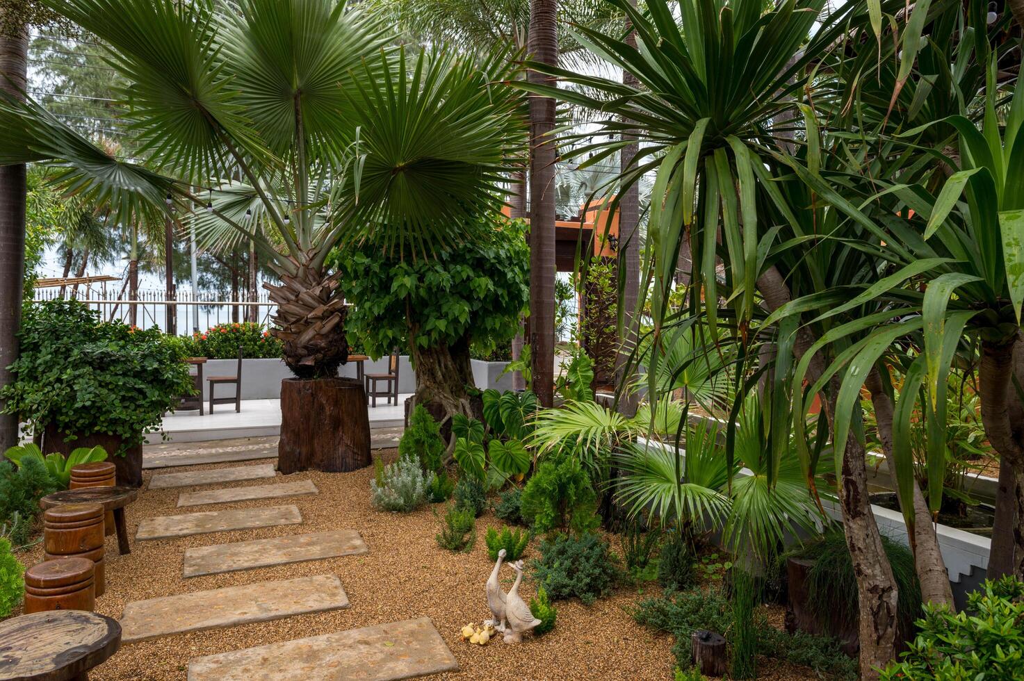 Beautiful outdoor garden featuring pathway with stone steps and rustic wooden seating surrounded by lush tropical plants and palm trees creating peaceful atmosphere photo