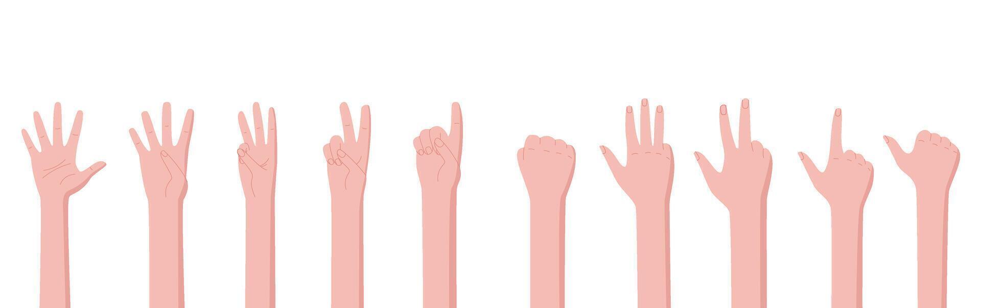 Flat cartoon hand count gesture set. Human finger and bare arm positions count numbers in creative ways. Varied hand signals offer educational and illustration uses, ideal for people study. vector
