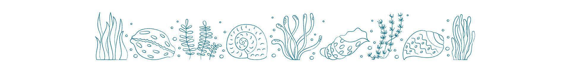 Coral shells in doodle style. Decorative shells and marine plants create an aquatic atmosphere. Underwater life, summer vibe, chalk texture, perfect for aquarium decor or educational material. vector