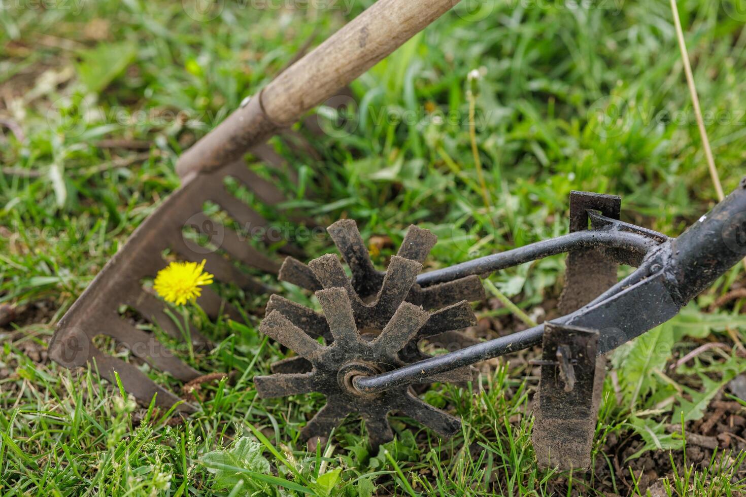 Old garden tools and dandelion on green grass, symbol of manual spring gardening. photo