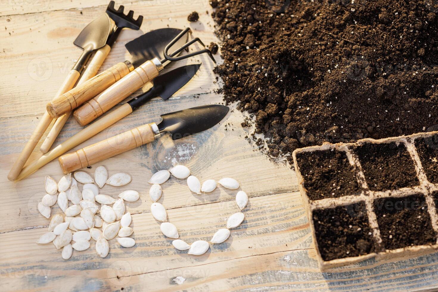 Spring planting scene with seeds, soil, tools, and heart shape made of pumpkin seeds on wood. photo