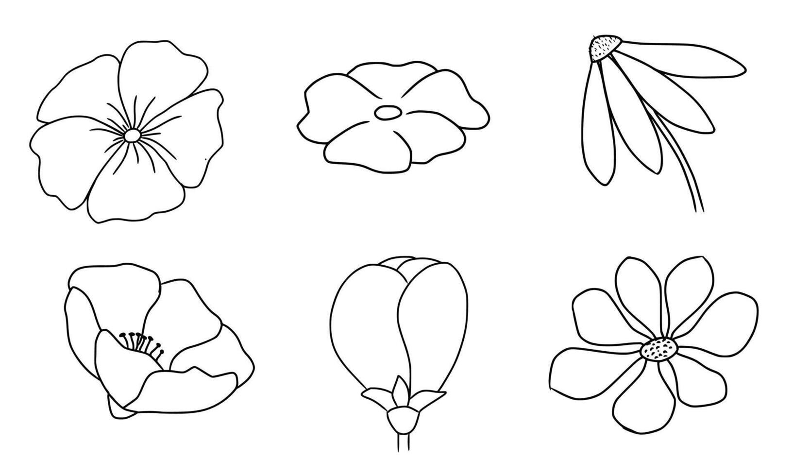 set of flower icons, flower elements in black and white outline hand drawn vector