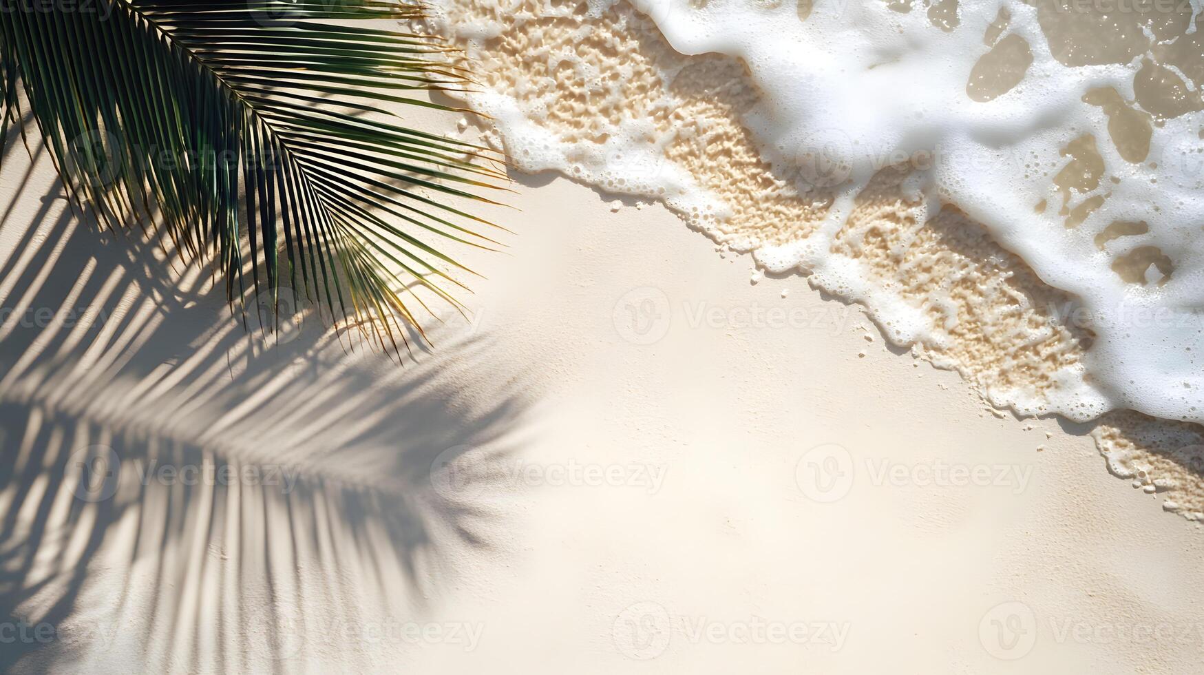 Waves lap against the shore as a shadow of a palm leaf casts over the sandy beach at midday photo