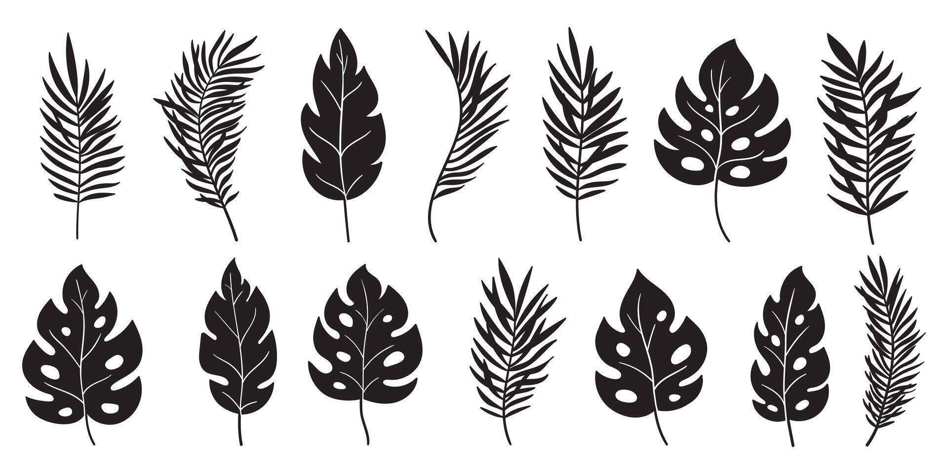 Ornamental exotic leaves silhouettes. Tropical leaves black silhouettes set isolated on white background for poster, print, invitation, cover design. Palm, banana, monstera, coconut leaves vector