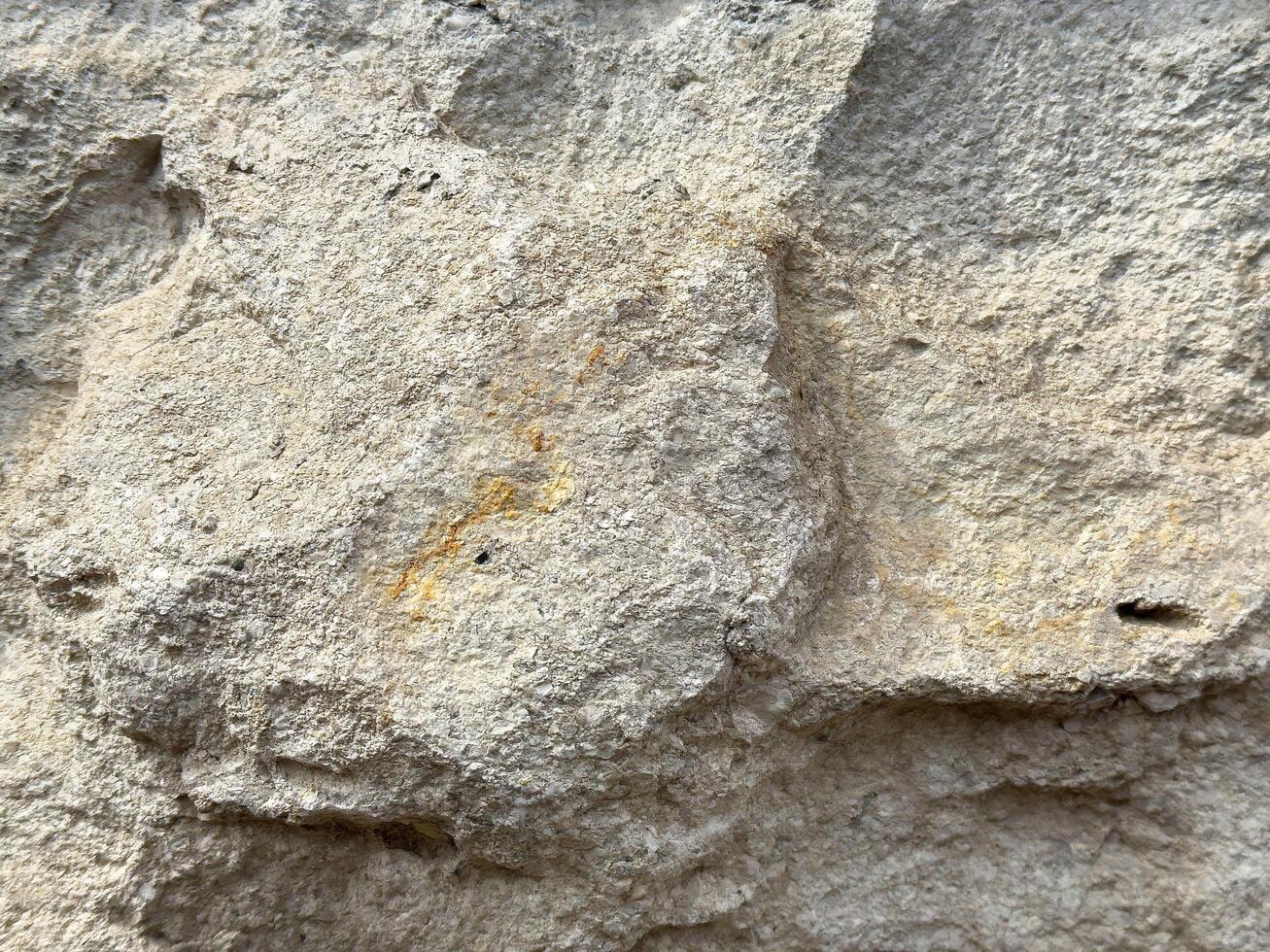 Rough limestone texture with natural weathering and subtle color variations photo