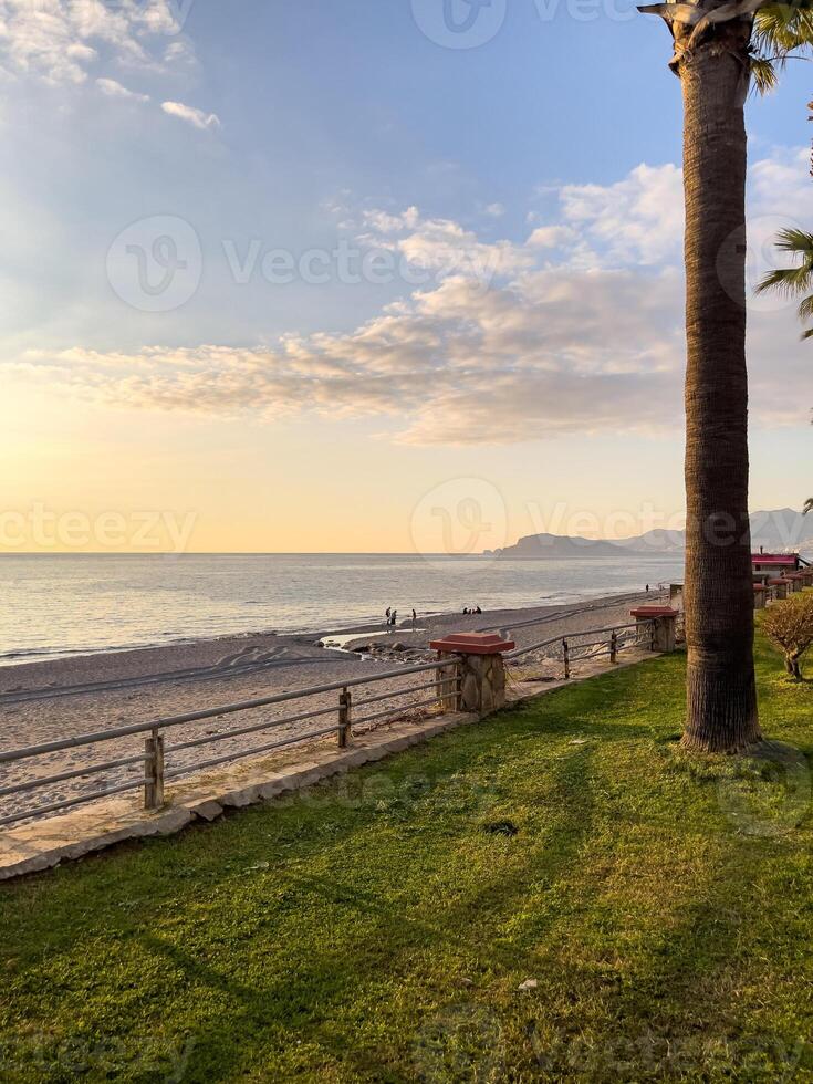 Tranquil Beach Scene with Sunset Glow, Palm Trees, and Coastal Serenity photo