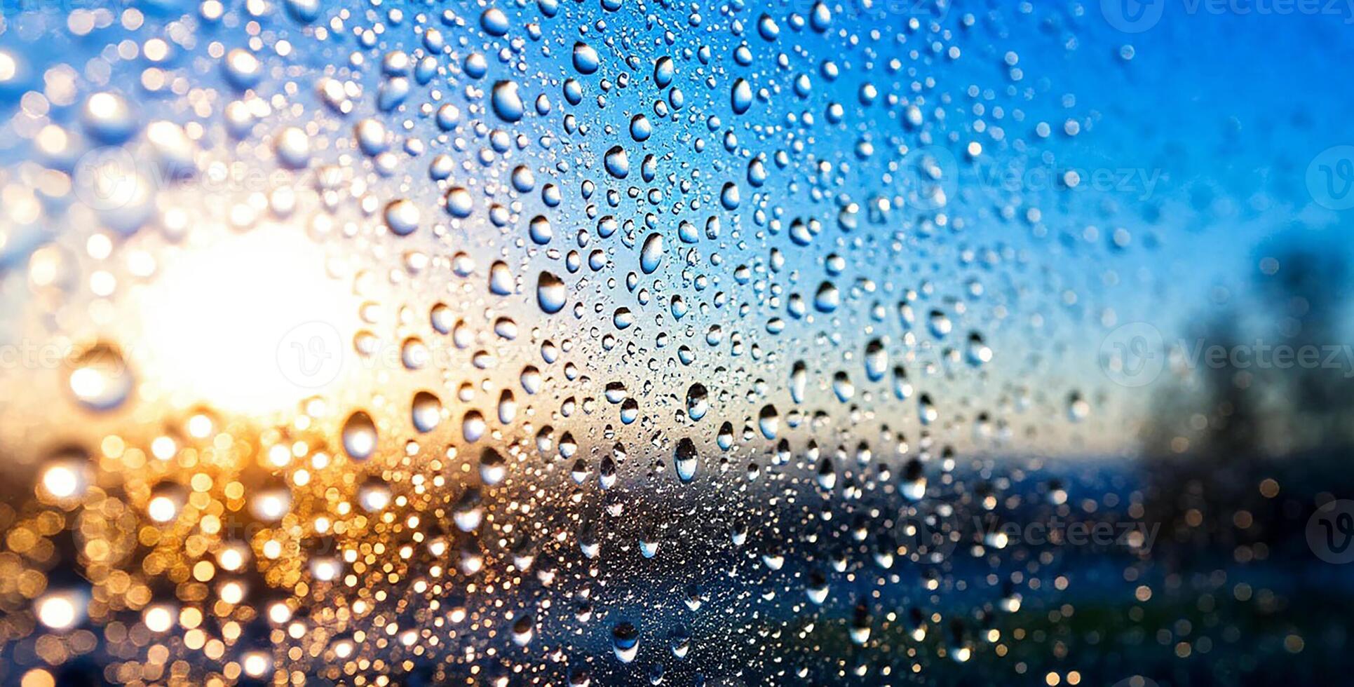 Raindrops on a window photo
