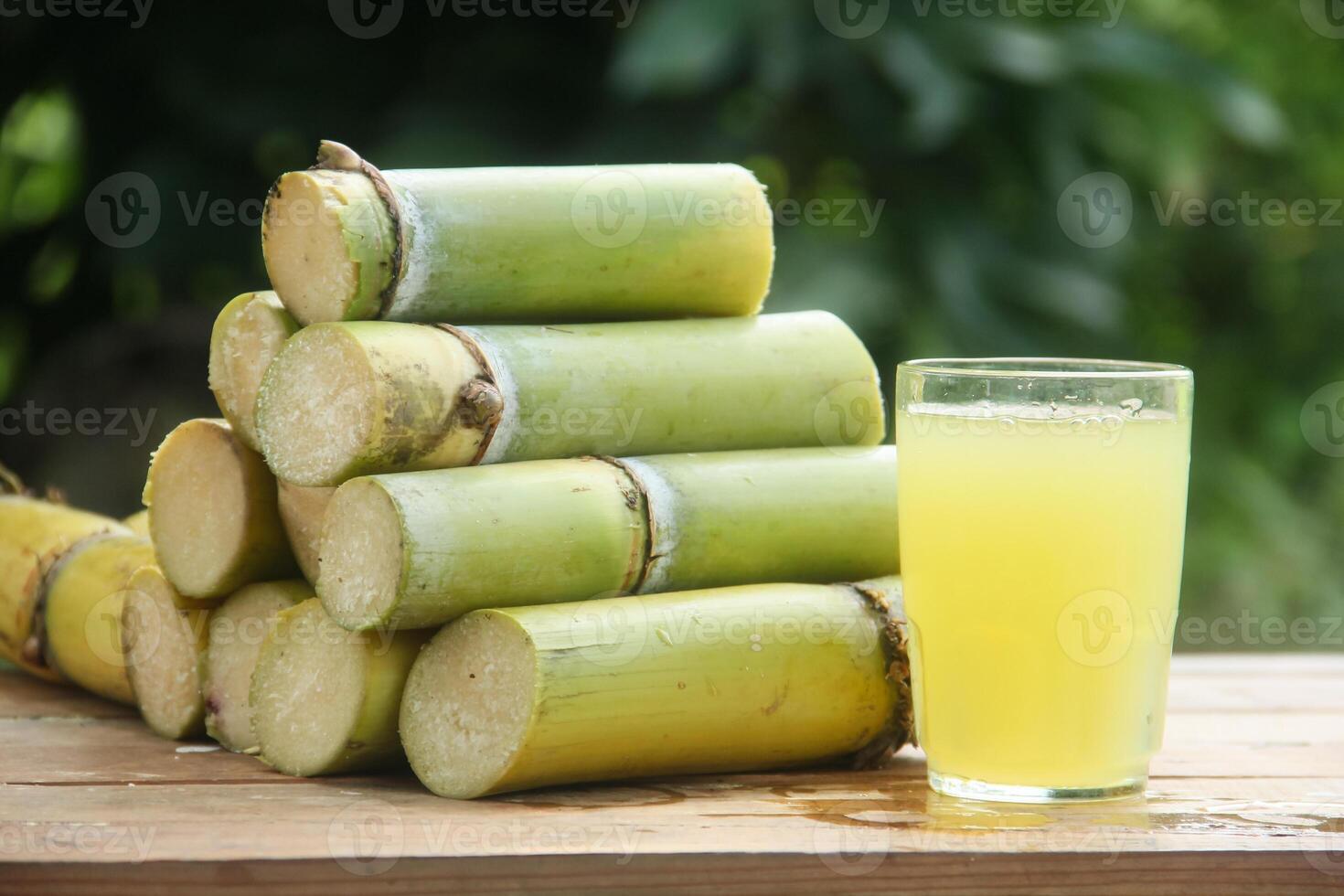 A drink made from squeezed yellow sugar cane juice or Saccharum officinarum L which is part of the Poaceae family photo