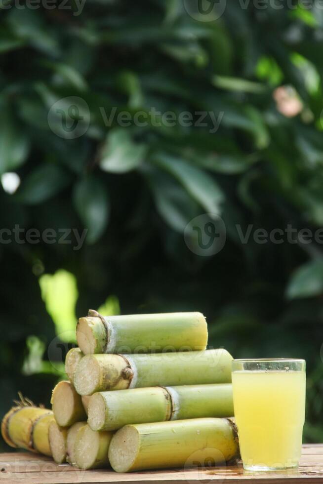 A stack of sugarcane with a glass of juice photo