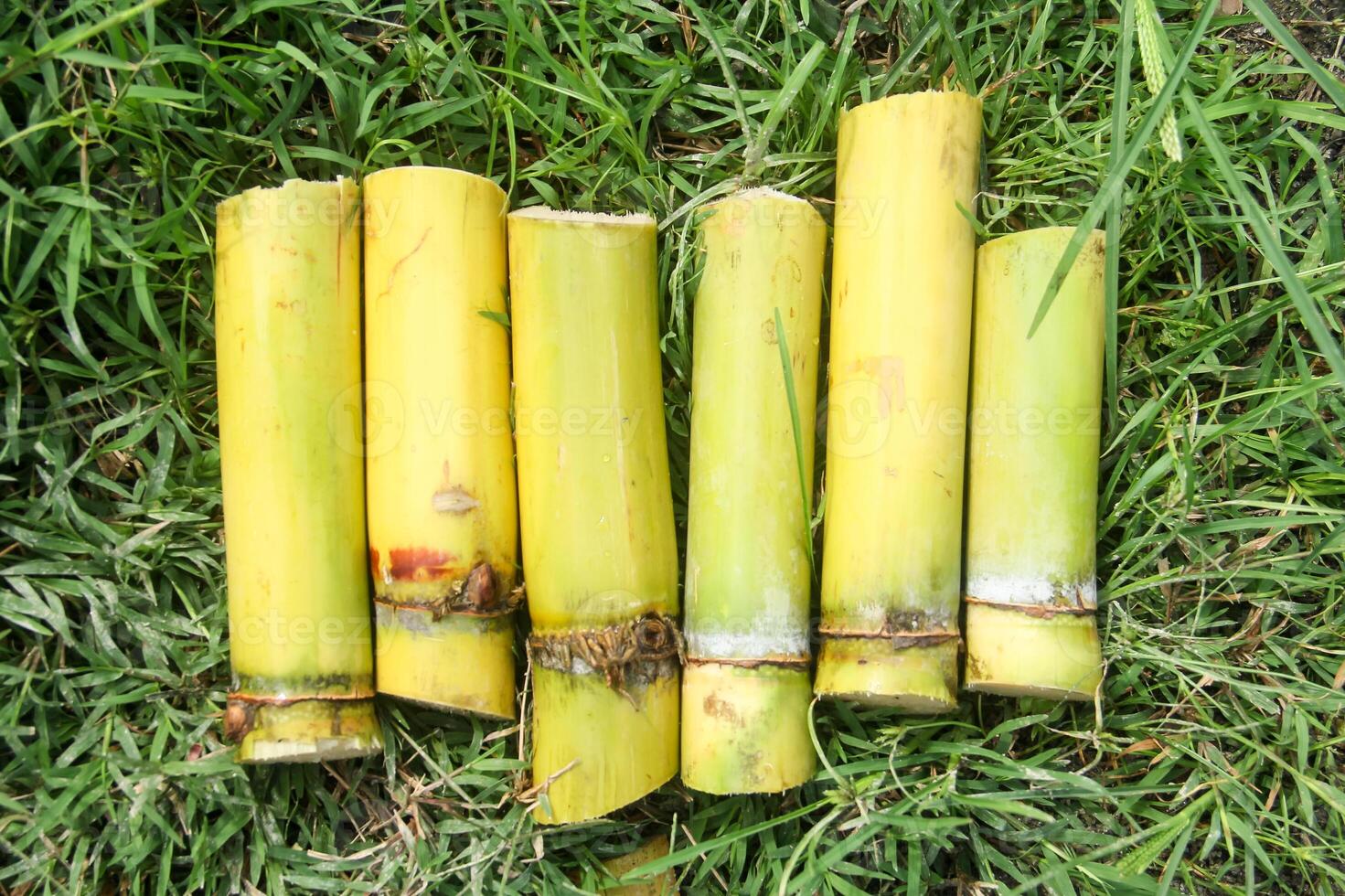 A group of yellow bamboo sticks laying on the grass photo