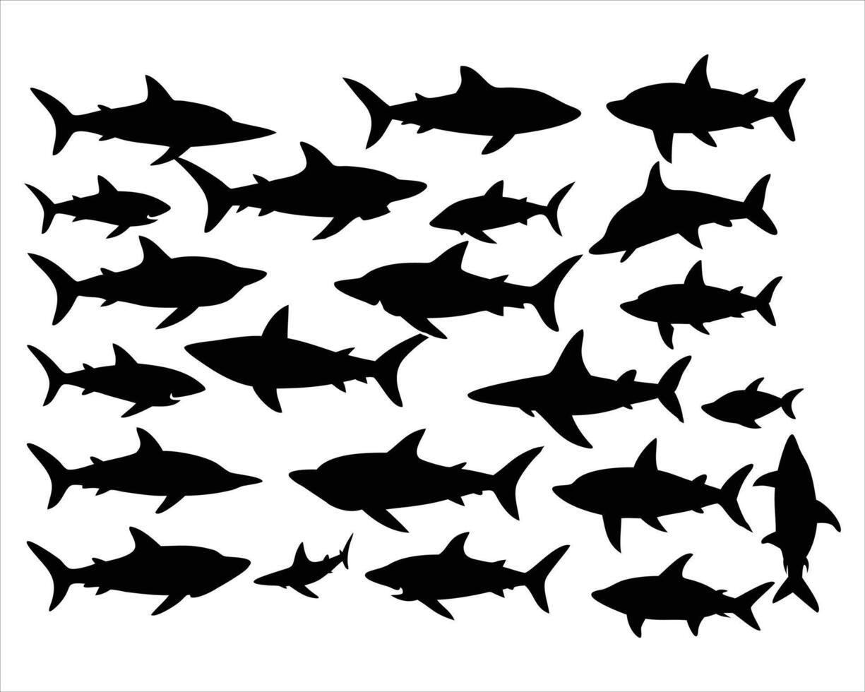 Silhouettes of Sharks Swimming in a School Illustration vector