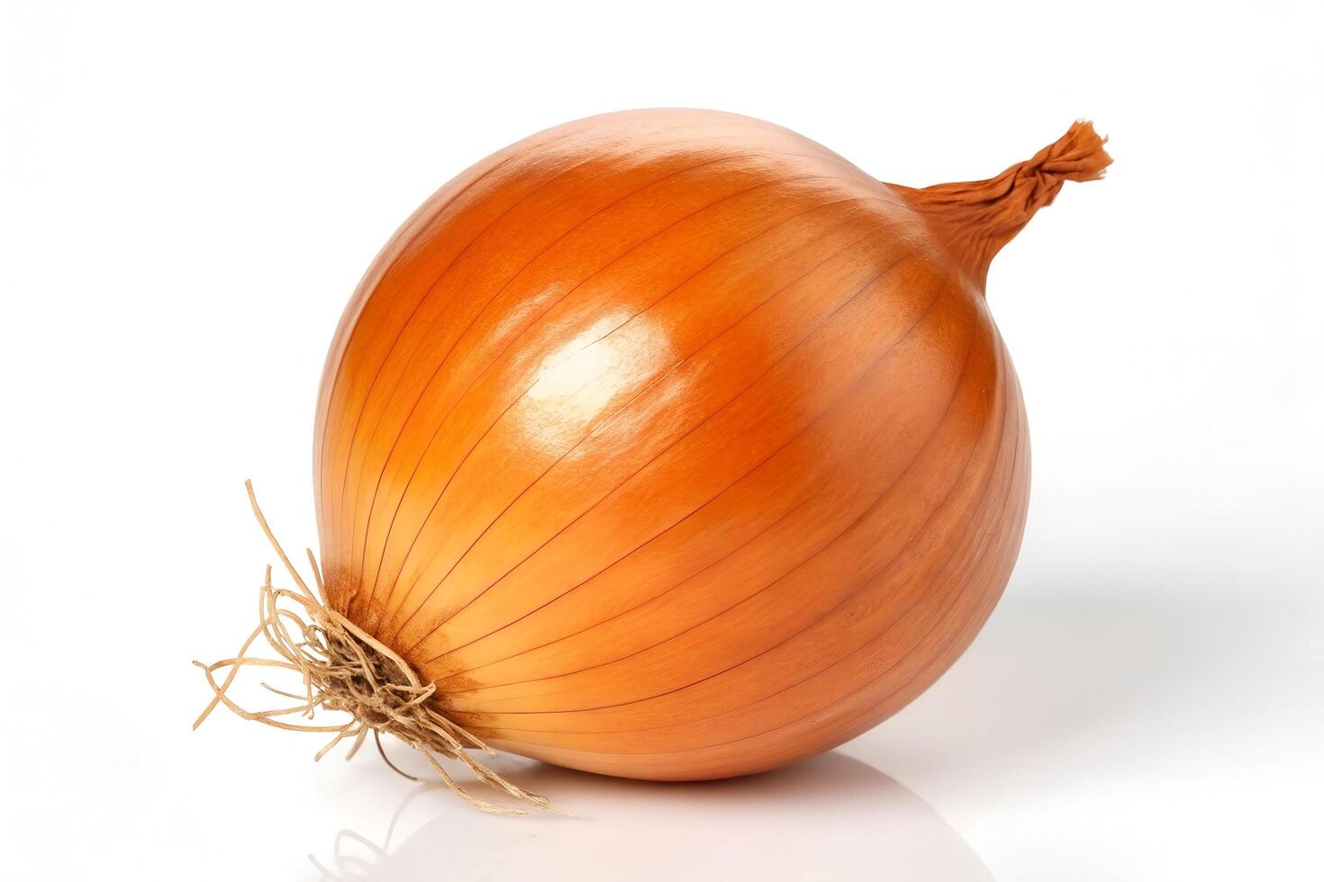 A whole yellow onion with the roots showing sits on a white surface photo