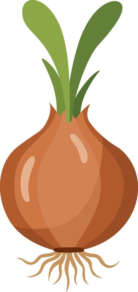 Brown Onion with Green Shoots vector
