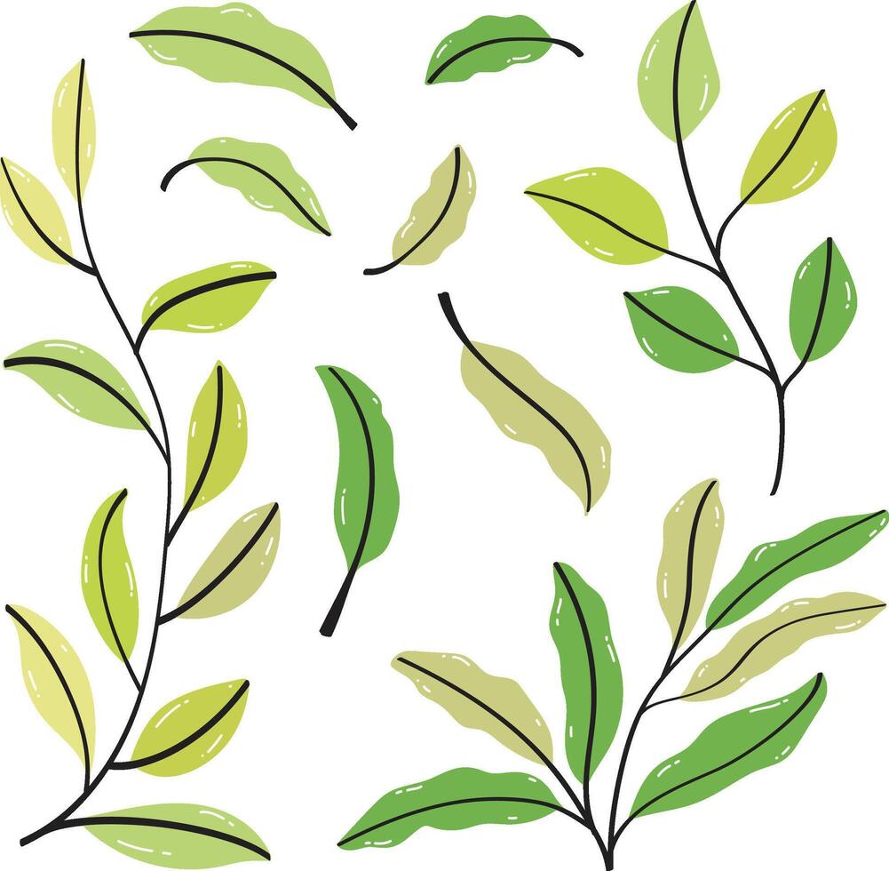 Leaf set collection vector