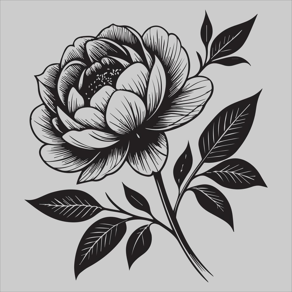 Delicate Cosmos design vector
