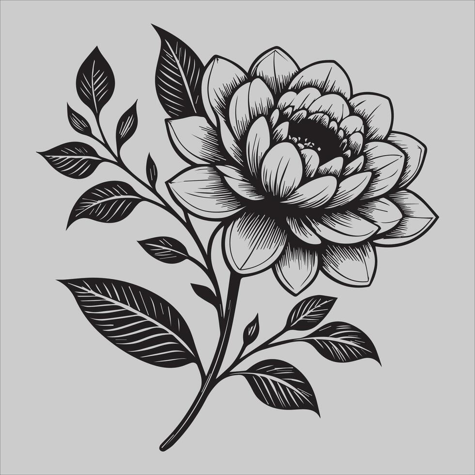 Elegance in Ink vector