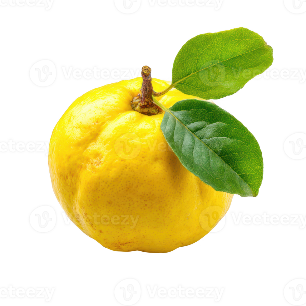 Ripe quince fruit with leaves isolated on transparent background. png