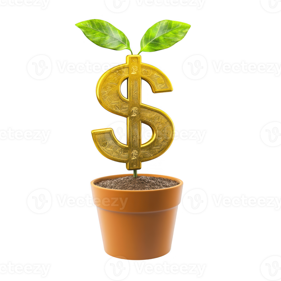 Dollar sign plant growing in pot on transparent background png