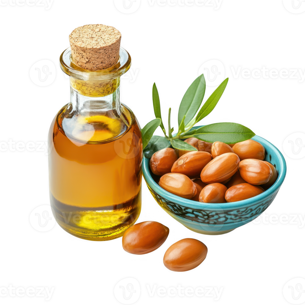 Argan nuts and oil bottle still life on transparent background png