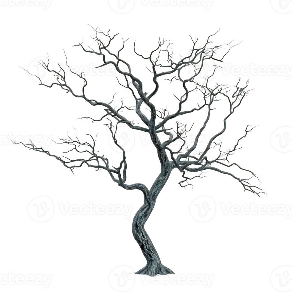 Bare tree branches silhouette isolated on transparent background png