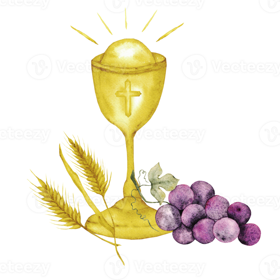 Watercolor illustartion with catholic religious symbols. Chalice, bunch of grapesand ears isolated. For first communion, wedding, baprism greeting card, invitation png
