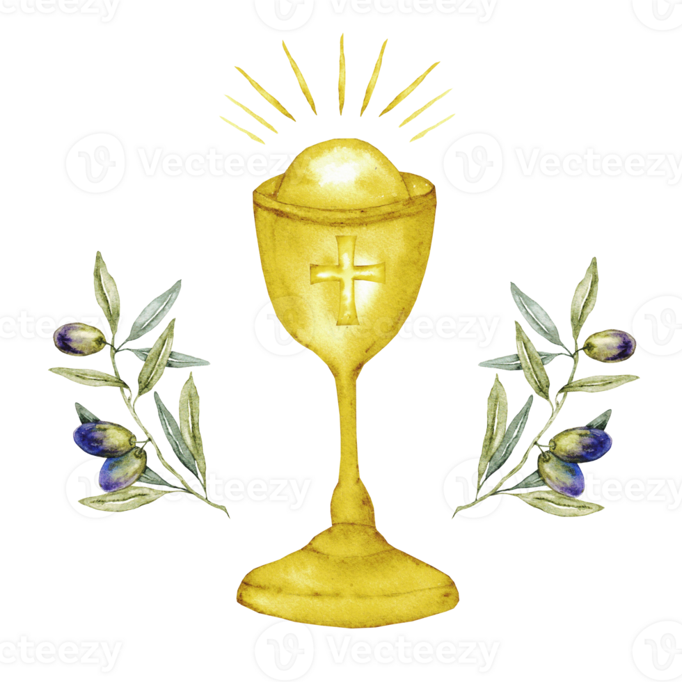Chalice wit olive branches. Watercolor composition with catholic religious symbols. Isolated. For first communion, wedding, baprism greeting card, invitation png