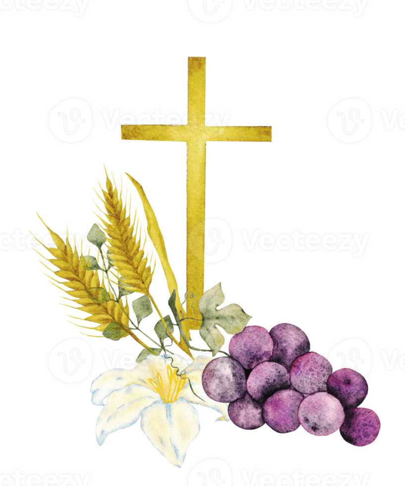 Watercolor composition with catholic religious symbols. Cross with bunch of grapes, ears and white lily. Isolated. For first communion, wedding, baptism greeting card, invitation png