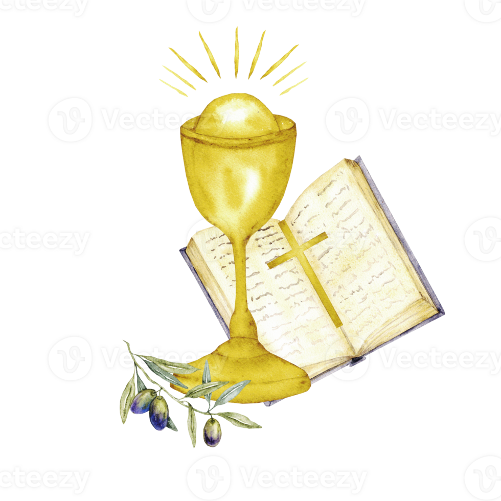 Chalice, open Bible and olive branch. Isolated. Watercolor illustration, catholic religious symbols. For first communion, wedding, baprism greeting card, invitation. Hand drawn png