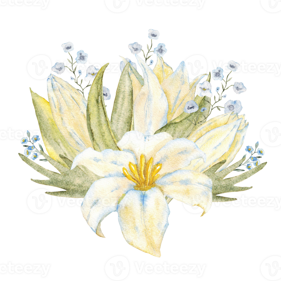 Watercolor composition with white lily, blue flowers and green leaves. For first communion, wedding, baprism, birthday greeting card, invitation. Hand drawn. Isolated png
