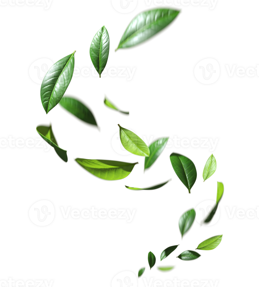 Greenery leaves flying swirl movement cutout transparent backgrounds 3d rendering png