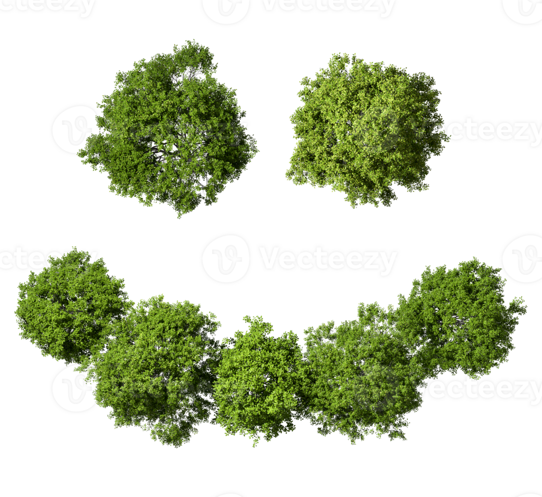 Smile concepts greenery trees jungles top view isolated transparent backgrounds 3d rendering png