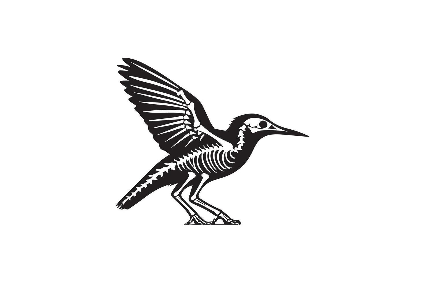 A black and white bird with wings spread out vector