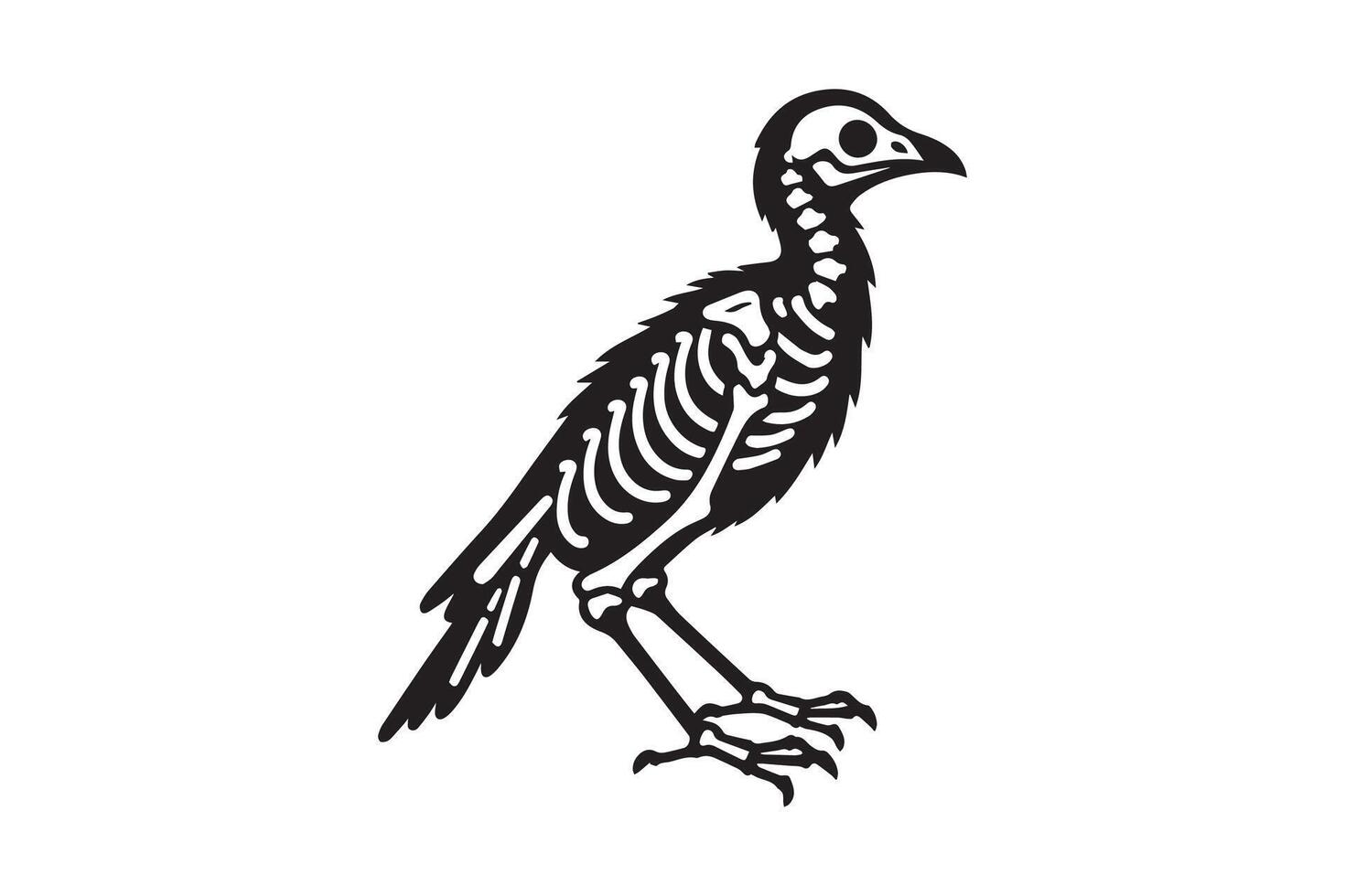 A skeleton bird is standing on its legs vector