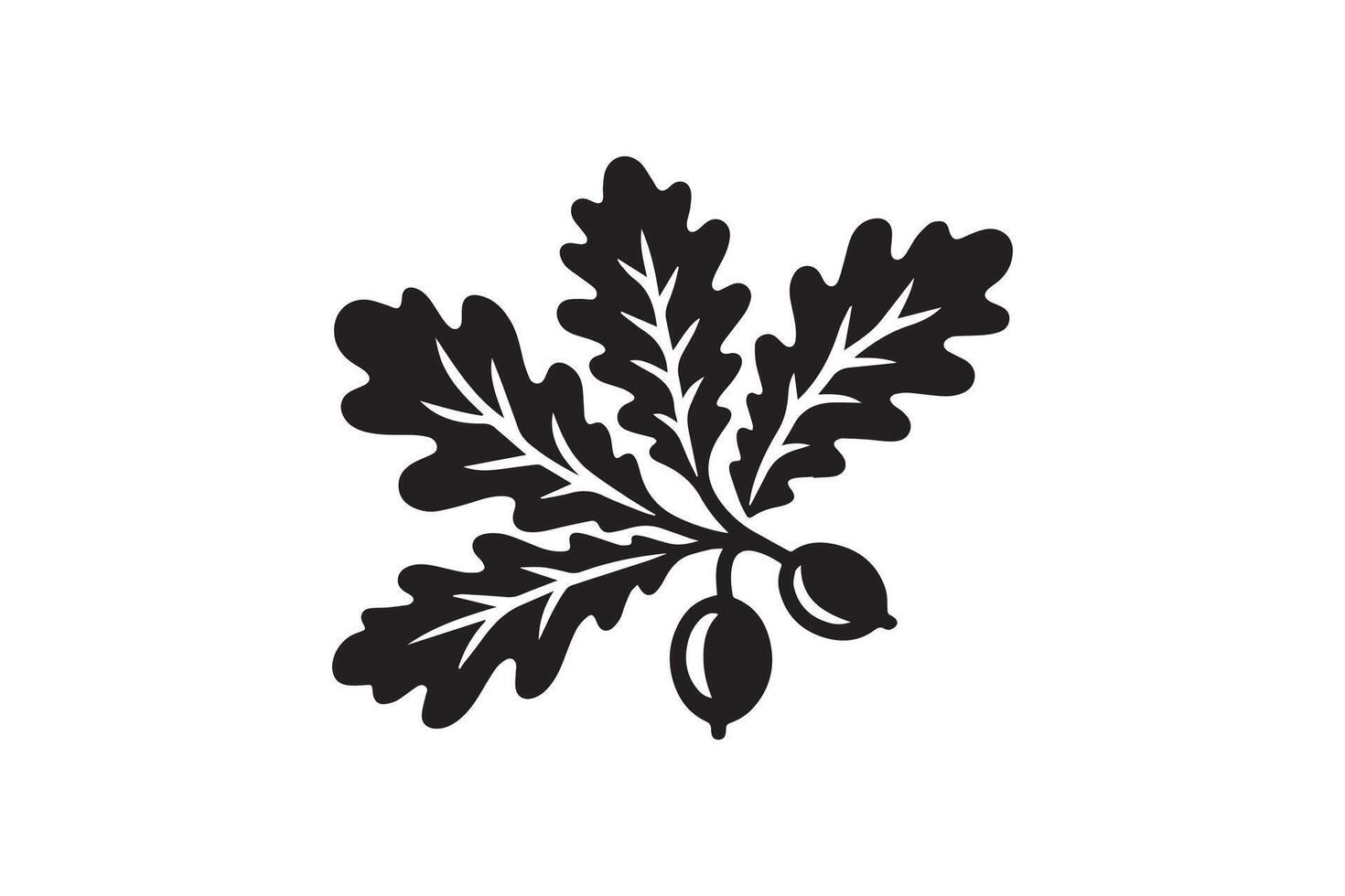 A black and white illustration of a leaf with berries vector