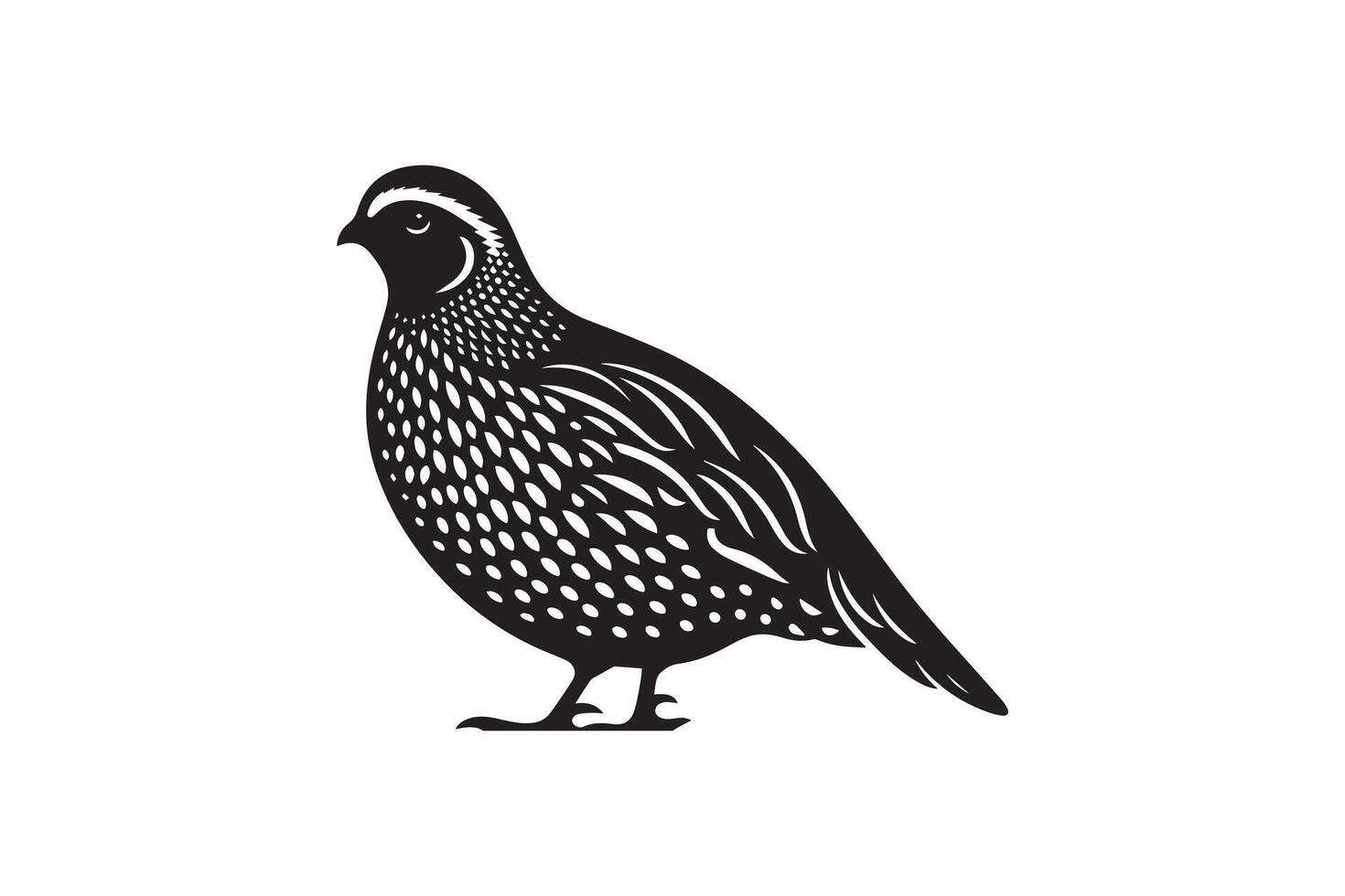 A black and white illustration of a quail vector