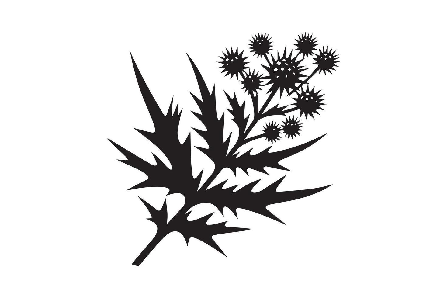 A black and white illustration of a thistle plant vector