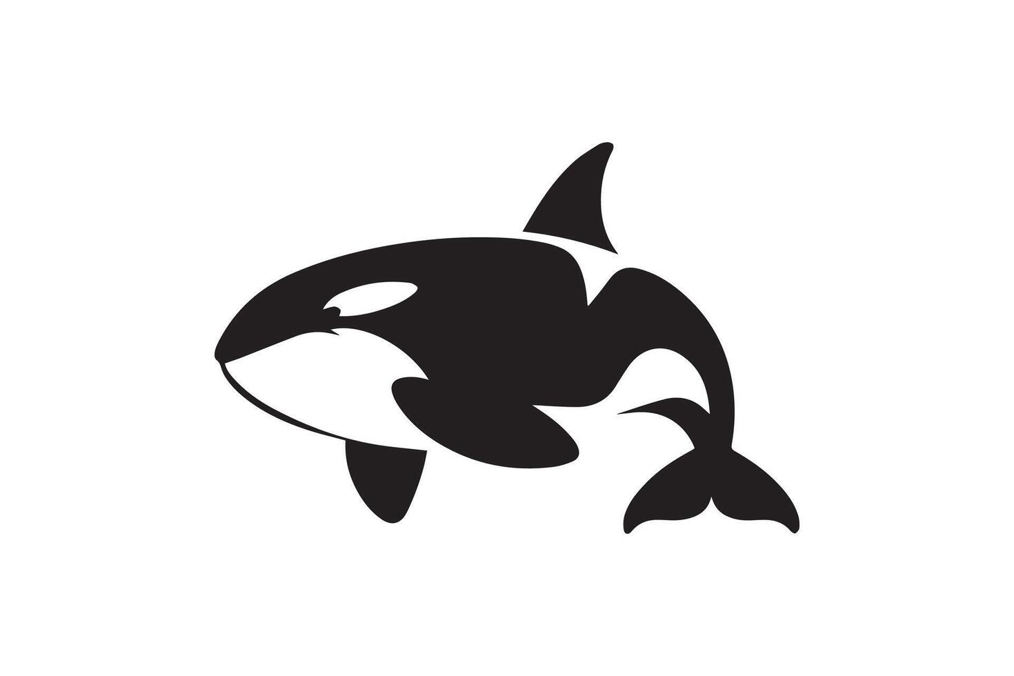 Killer whale logo illustration vector