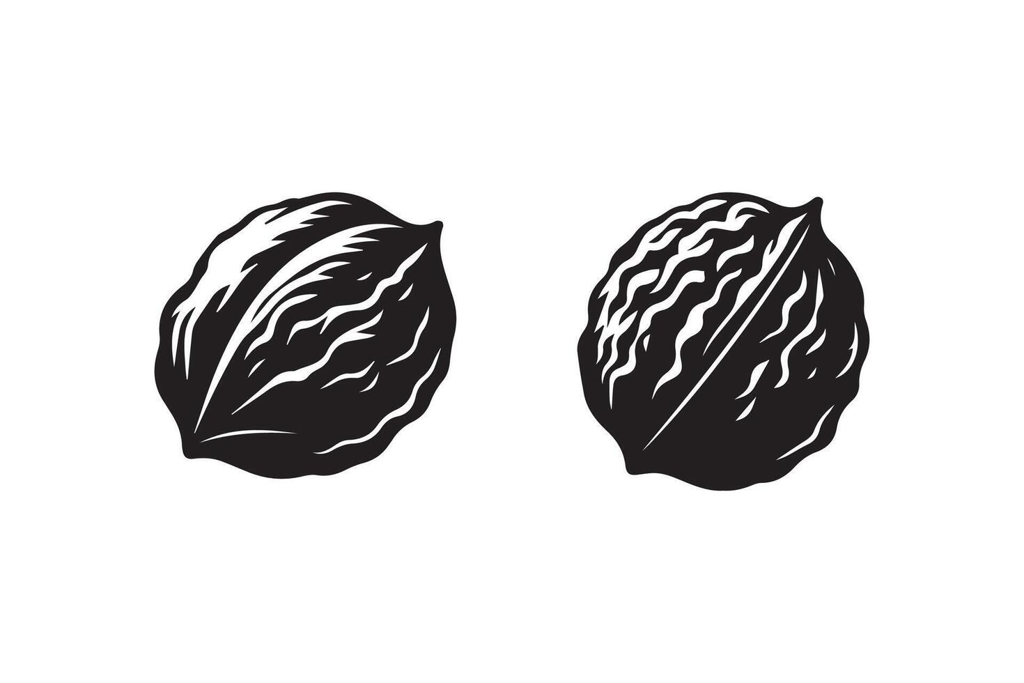 Two black and white images of walnuts vector