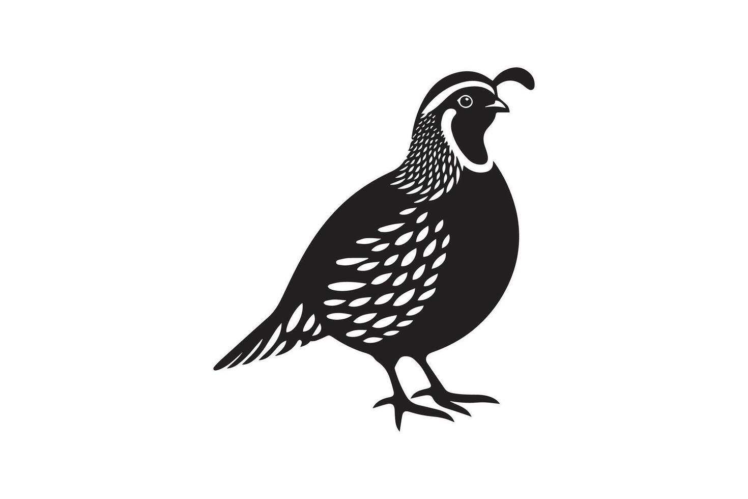 A black and white silhouette of a quail vector