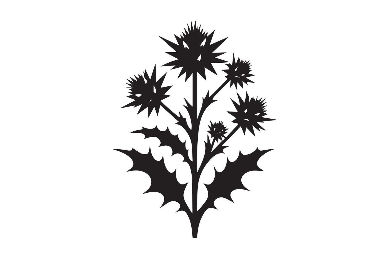 Thistle flower silhouette on white background vector