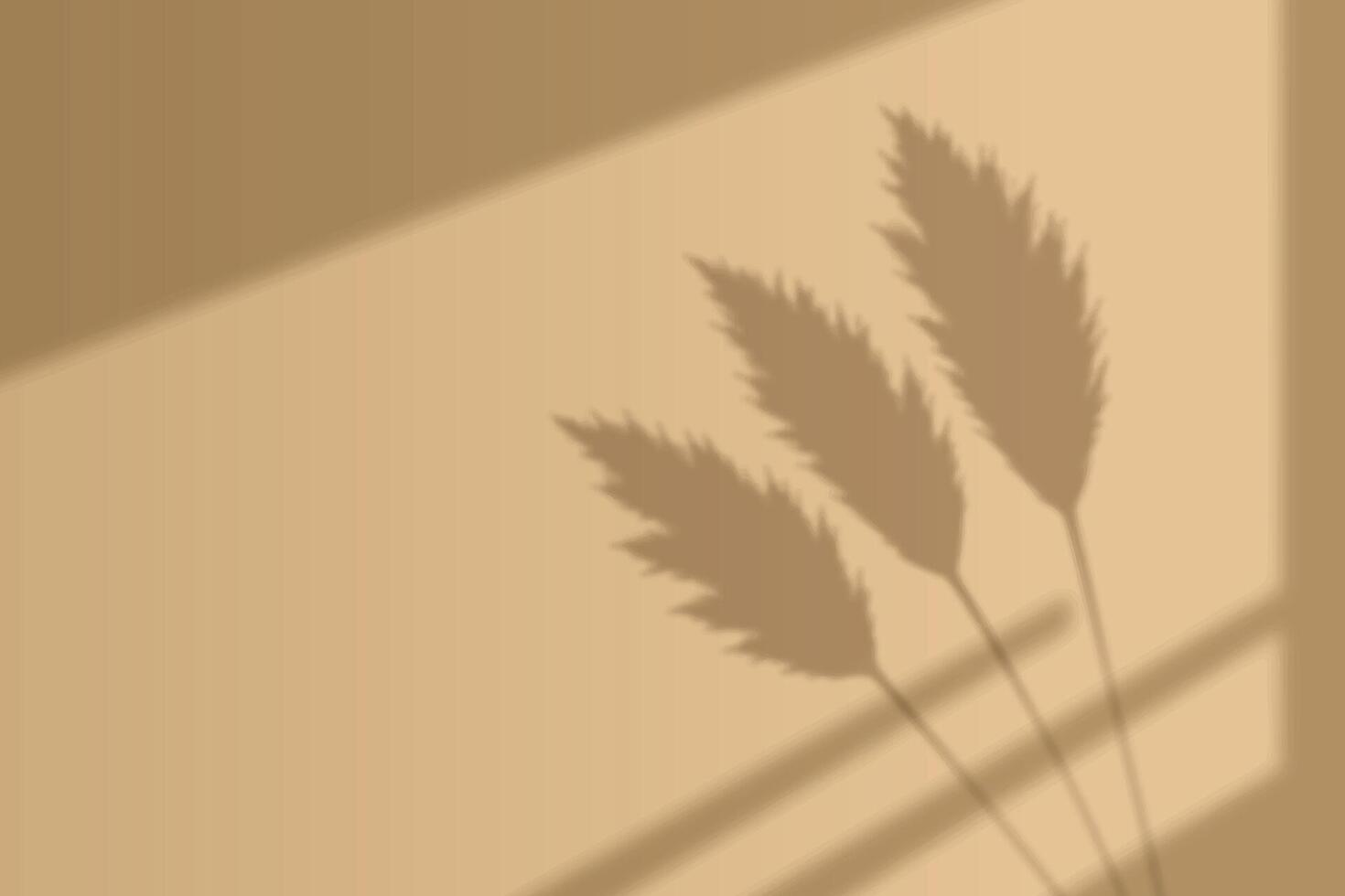 Soft shadow of dried grass on beige wall background vector