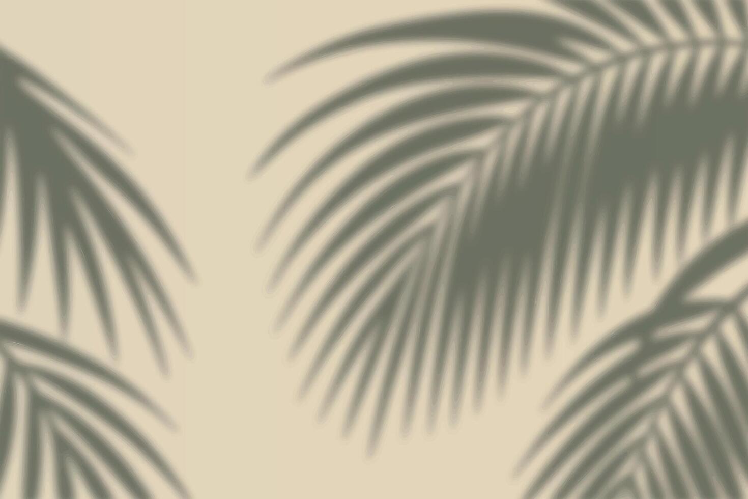 Palm leaf shadows on bright neutral interior background wall vector
