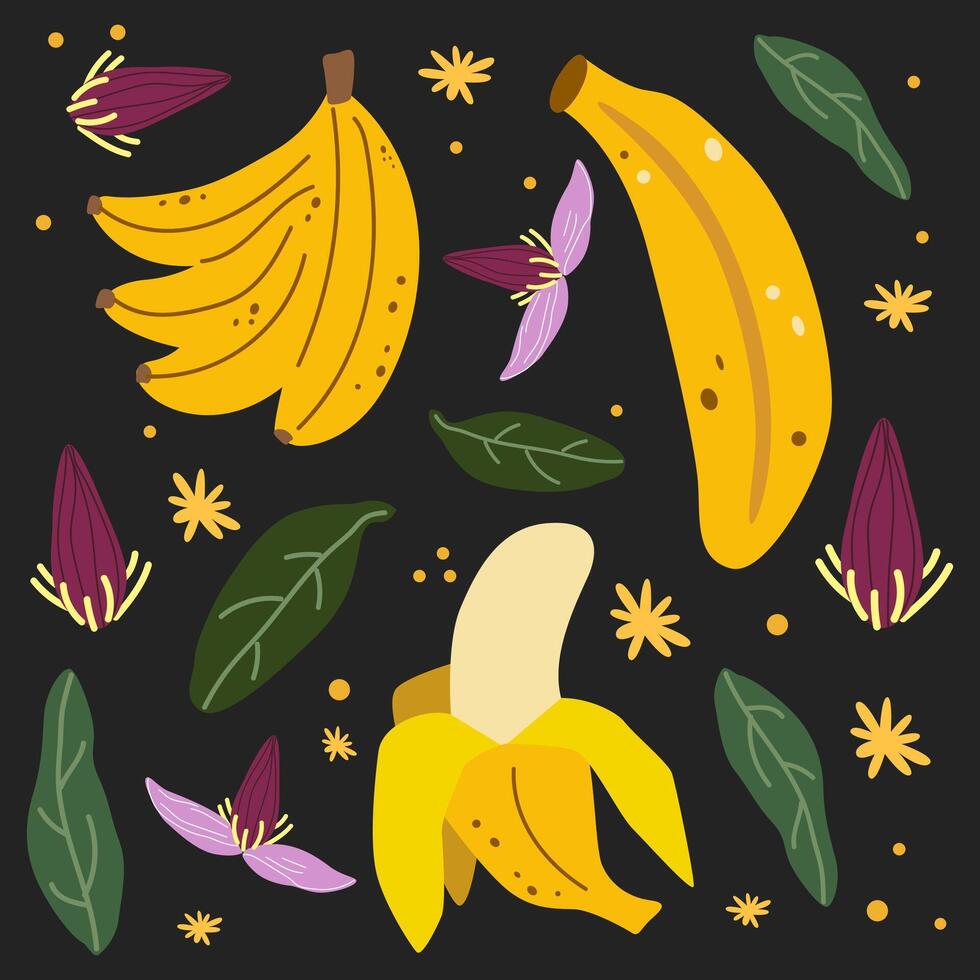 Summer tropical fruits and flowers poster in cartoon abstract minimalist style. Modern bananas art prints for print and wallpaper vector